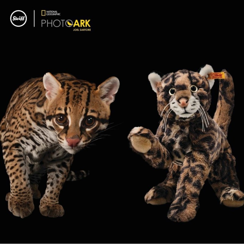 Knuffel Pardelkat National Geographic Ozzi Ozelot