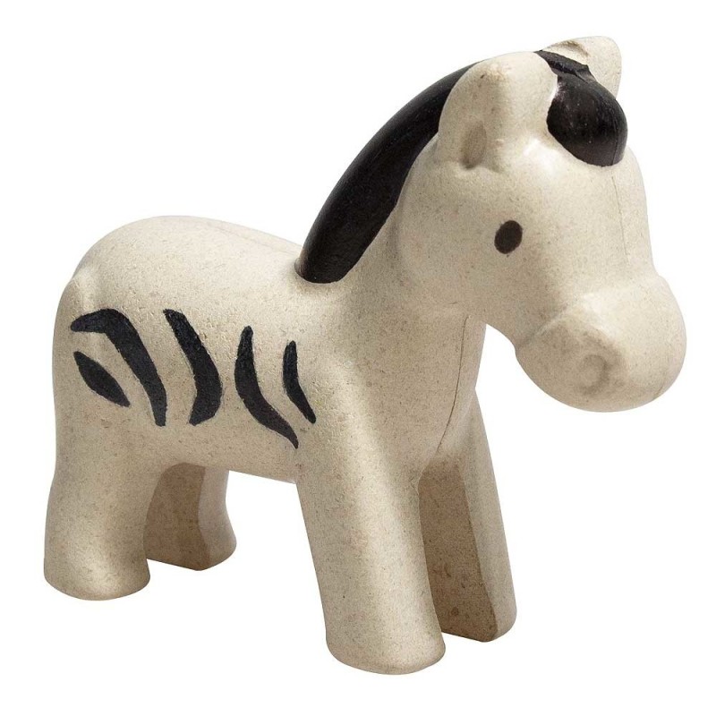 Zebra Zebra