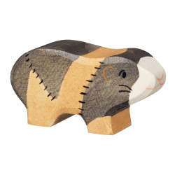 Cavia 80543