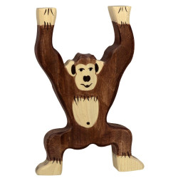Chimpansee 80169