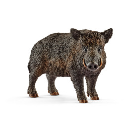 Wild Zwijn 14783