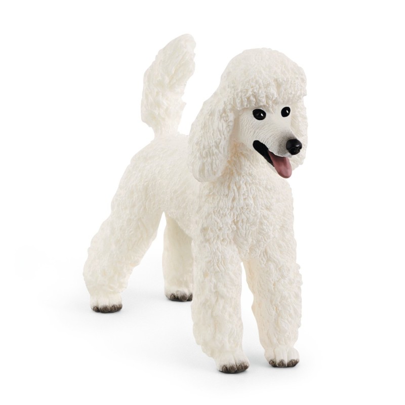 Hond Poedel 13917 Hond Poedel 13917