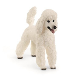 Hond Poedel 13917 Hond Poedel 13917