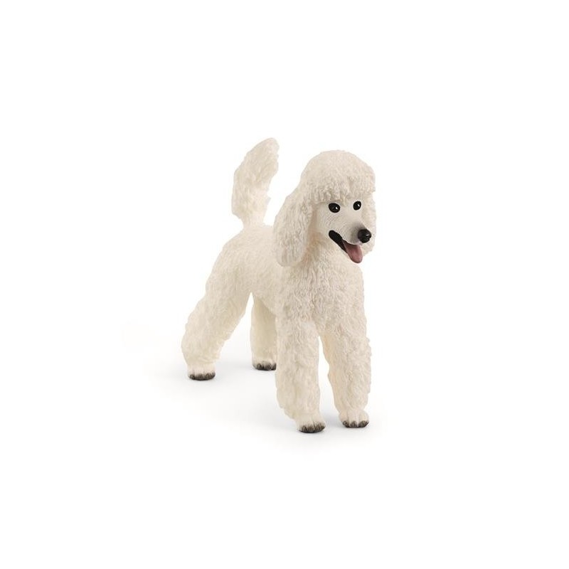 Hond Poedel 13917 Hond Poedel 13917