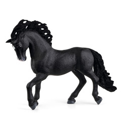 Paard Pura Raza Espanola Hengst 13923