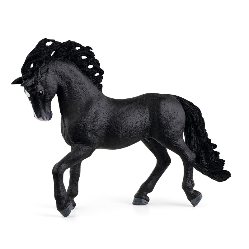 Paard Pura Raza Espanola Hengst 13923 Paard Pura Raza Espanola Hengst 13923