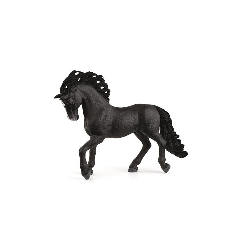 Paard Pura Raza Espanola Hengst 13923 Paard Pura Raza Espanola Hengst 13923
