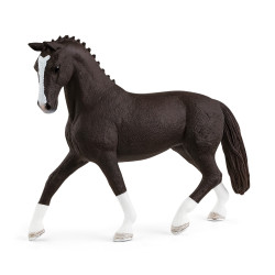 Paard Hannover Merrie Zwart 13927
