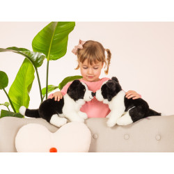 Knuffel Hond Border Collie Puppy 24cm