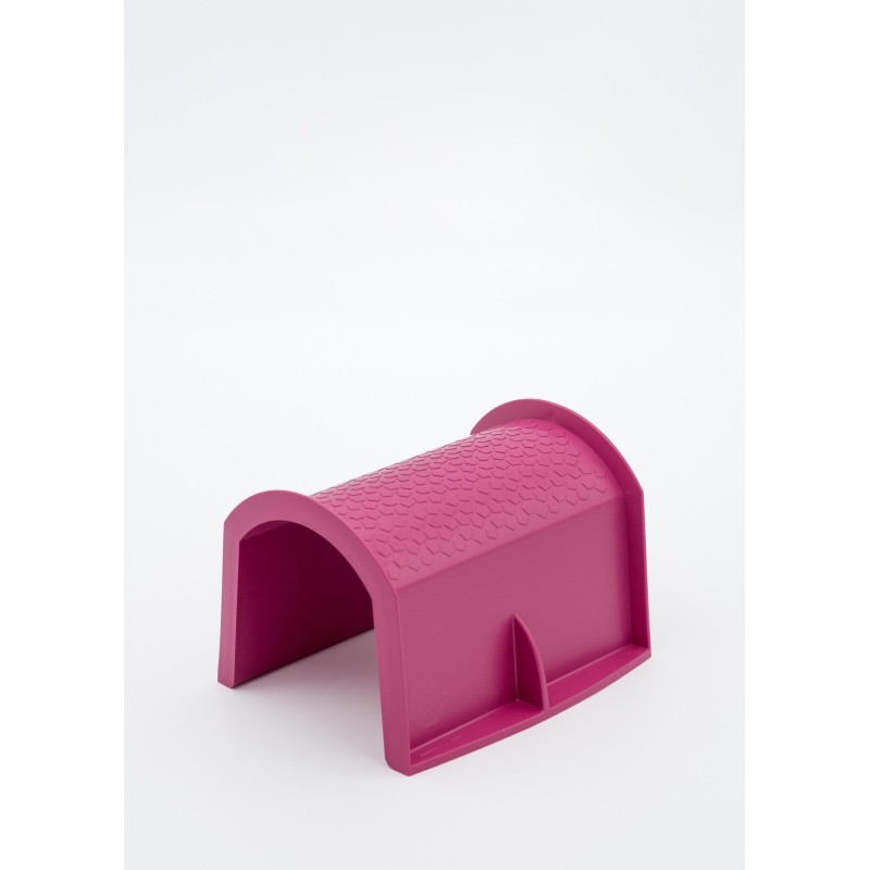 Schuur Barn Roze Schuur Barn Roze