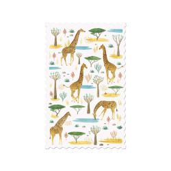 Postcard - Giraffes