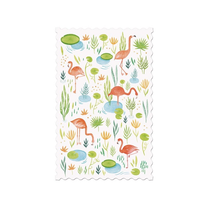 Postcard - Flamingos