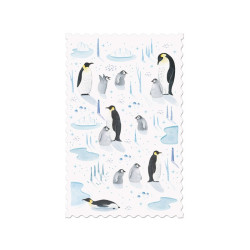 Postcard - Penguins