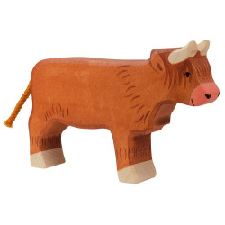 Koe Schotse Hooglander 80556