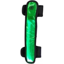 Stepstraler Scootbeamz Groen
