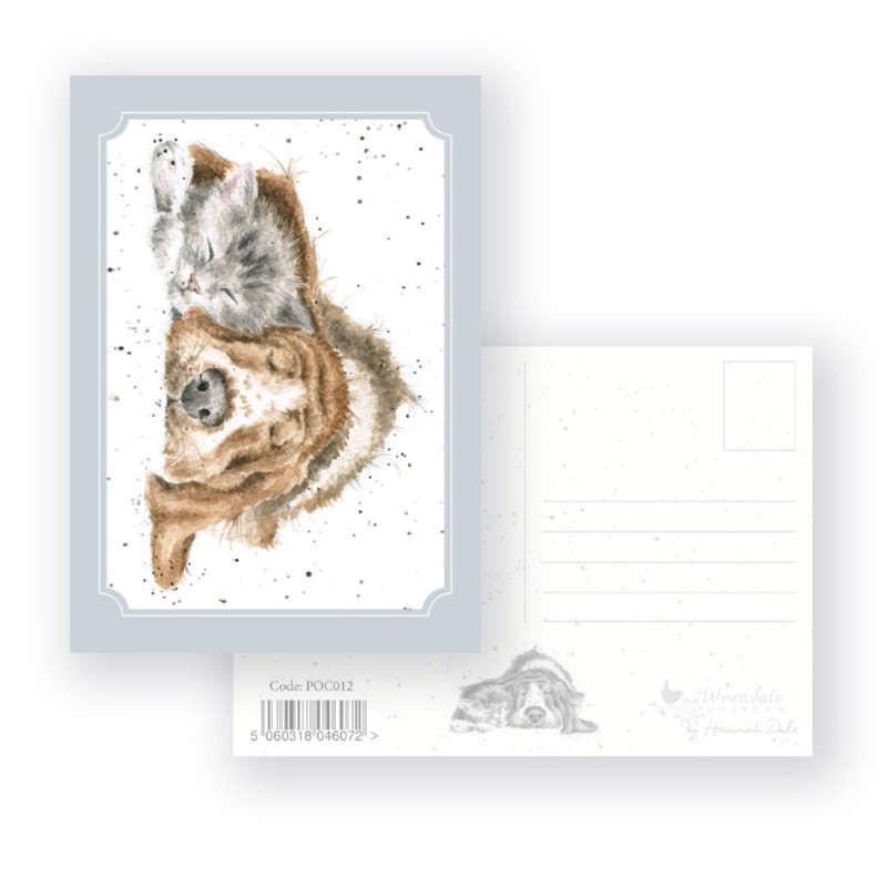 Dog and Catnap - Postcard