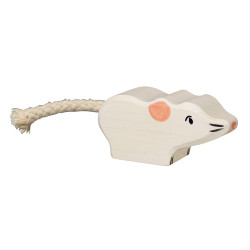 Muis 80541