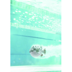 Knuffel Kogelvis Pacey Pufferfish Knuffel Kogelvis Pacey Pufferfish