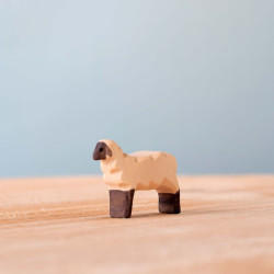 Schaap Lam Lopend Schaap Lam Lopend
