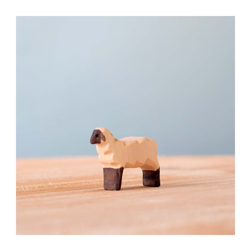 Schaap Lam Lopend Schaap Lam Lopend
