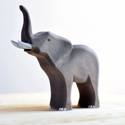 Olifant Slurf Omhoog