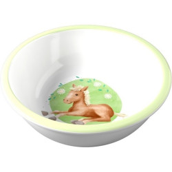 Kom Paarden