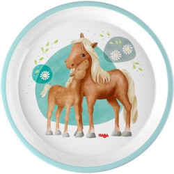 Bord Paarden