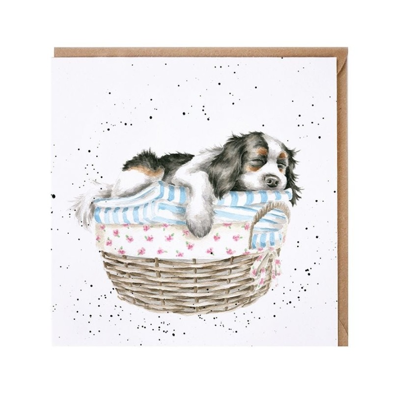 Wash, dry, fold, repeat (Dog)