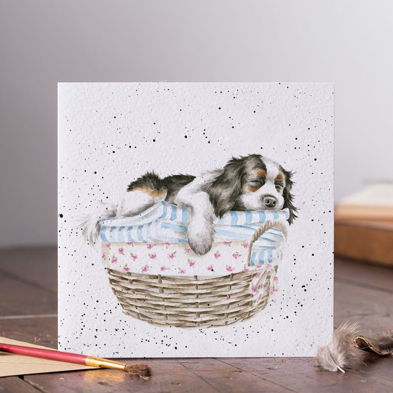 Wash, dry, fold, repeat (Dog)