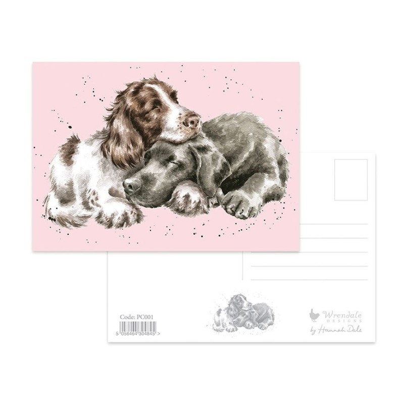 Growing Old Together Postcard - Dog