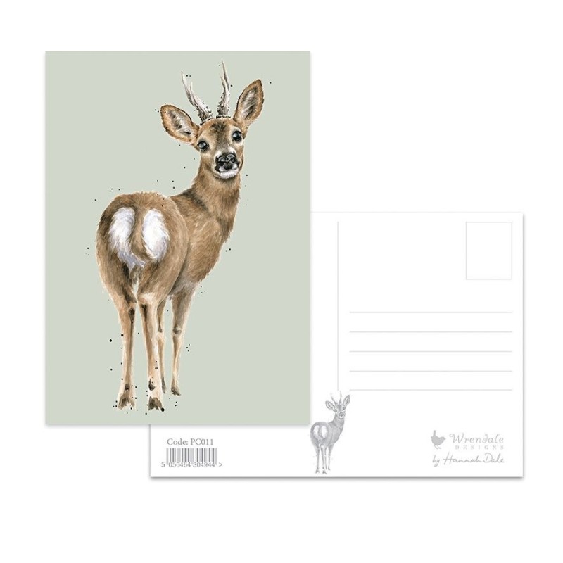 The Roe Deer Postcard - Deer