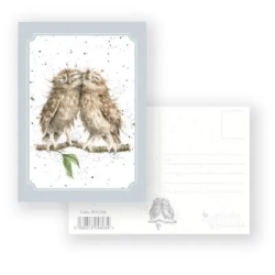 Anniversary Owls - Postcard
