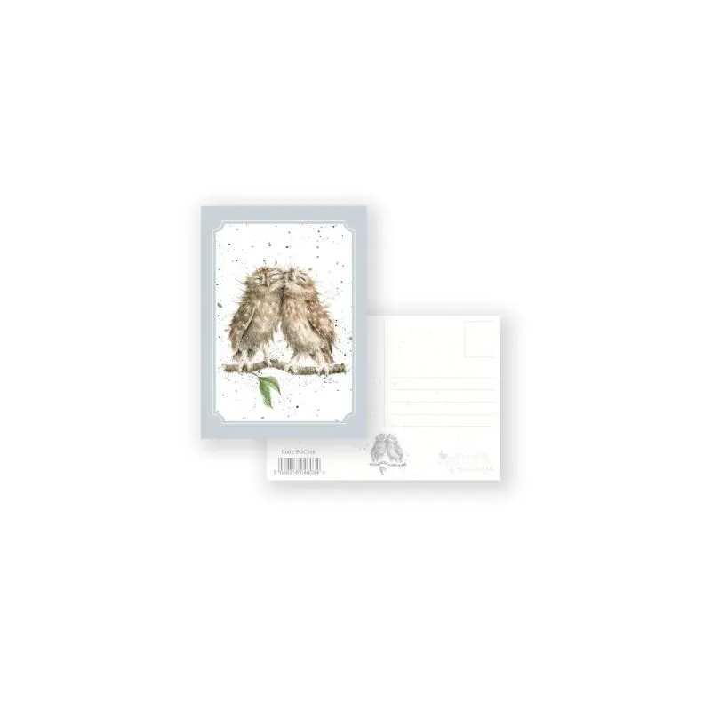 Anniversary Owls - Postcard