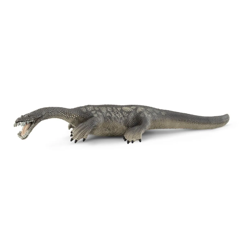 Dino Nothosaurus