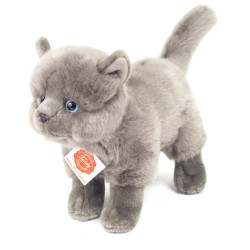 Knuffel Kat Kartuizer Staand 20cm