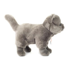 Knuffel Kat Kartuizer Staand 20cm