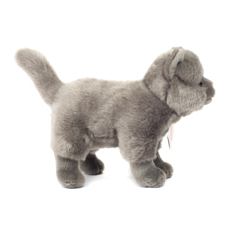 Knuffel Kat Kartuizer Staand 20cm