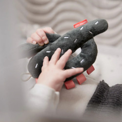 Tiny Activiteitenspeelgoed Sensory Lalee Colour mix