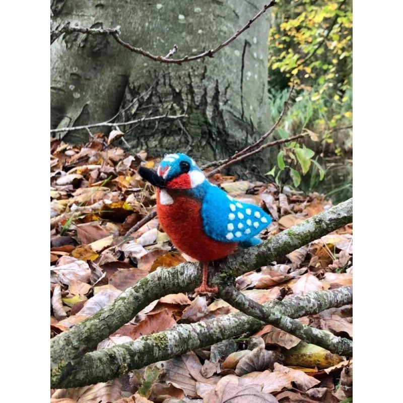 Vogel IJsvogel
