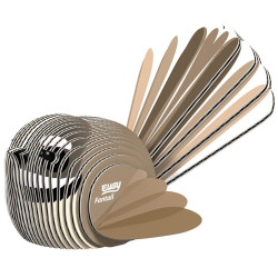 3D Bouwpakket Fantail