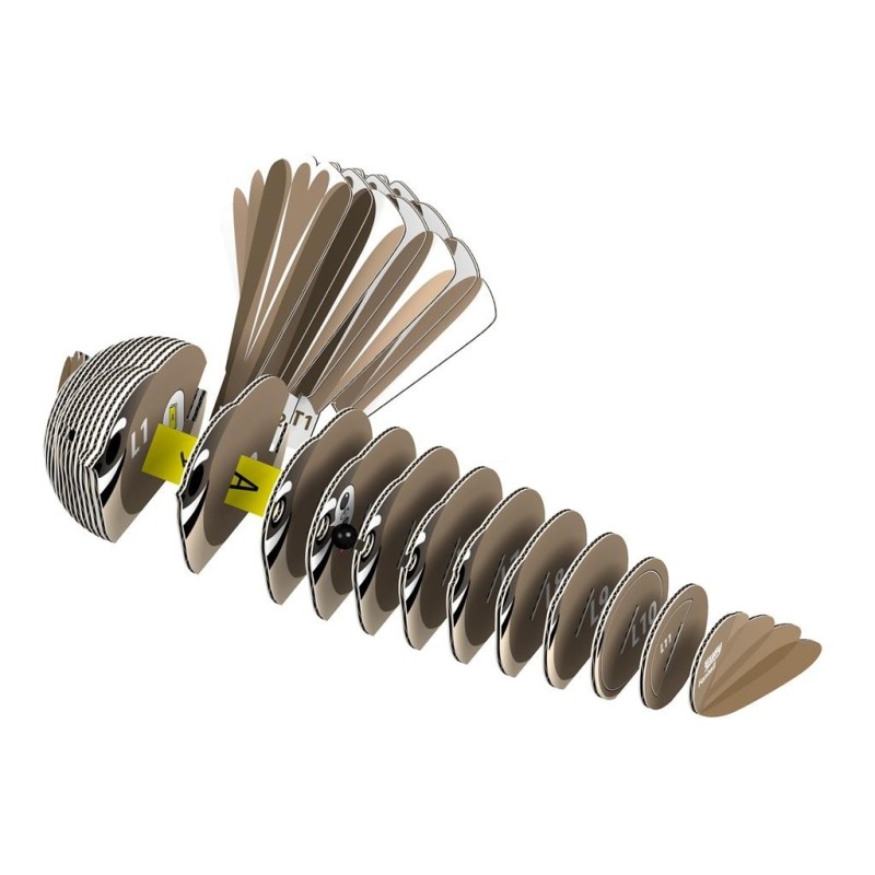 3D Bouwpakket Fantail