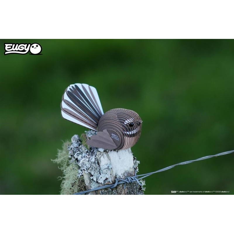 3D Bouwpakket Fantail