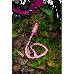 Halstertouw Roze Halstertouw Roze