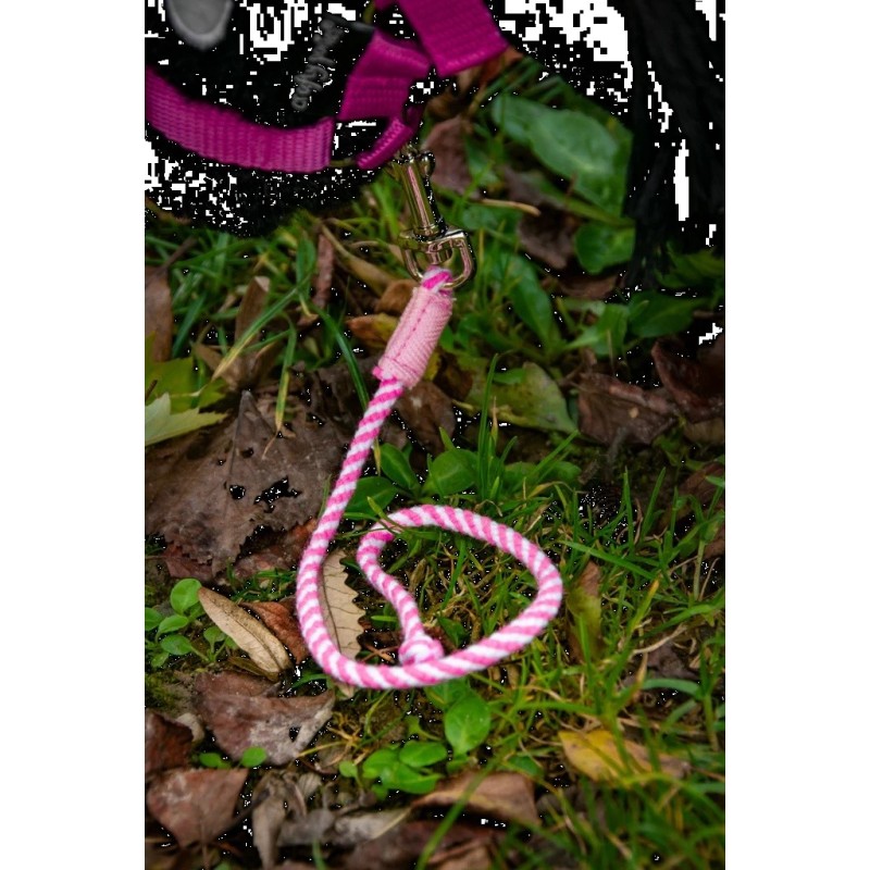 Halstertouw Roze Halstertouw Roze