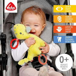 Activity Dino met Ring