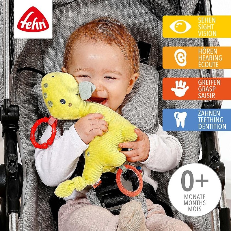 Activity Dino met Ring