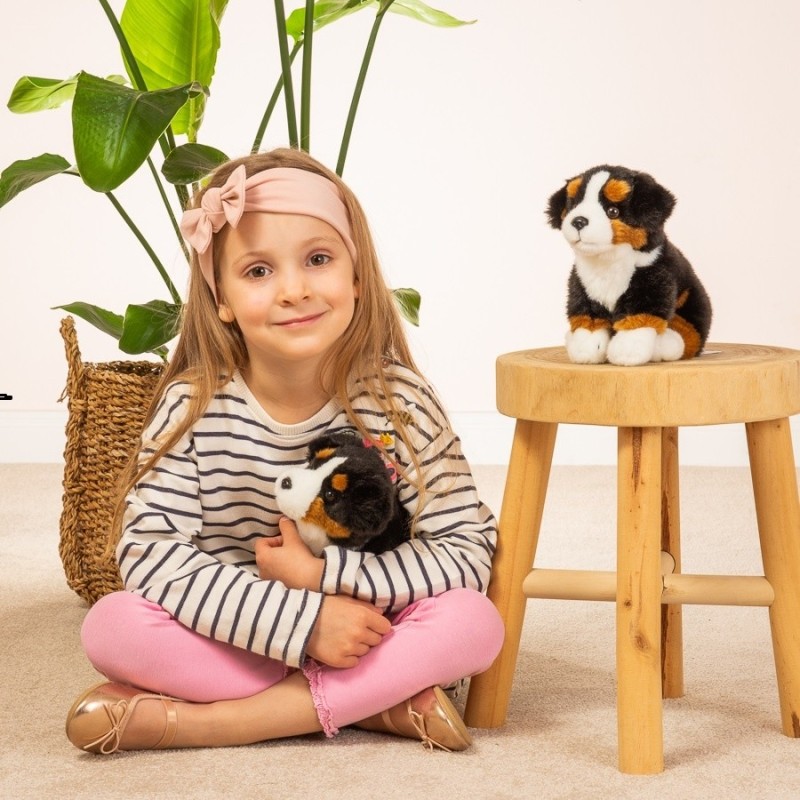 Knuffel Berner Sennenhond Zittend 21cm Knuffel Berner Sennenhond Zittend 21cm