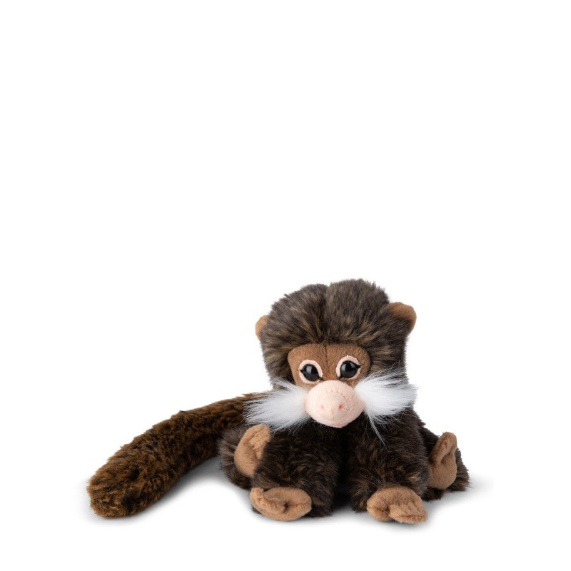 Tamarin 18cm Tamarin 18cm