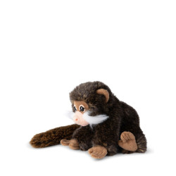 Tamarin 18cm Tamarin 18cm