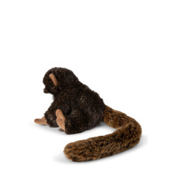 Tamarin 18cm Tamarin 18cm